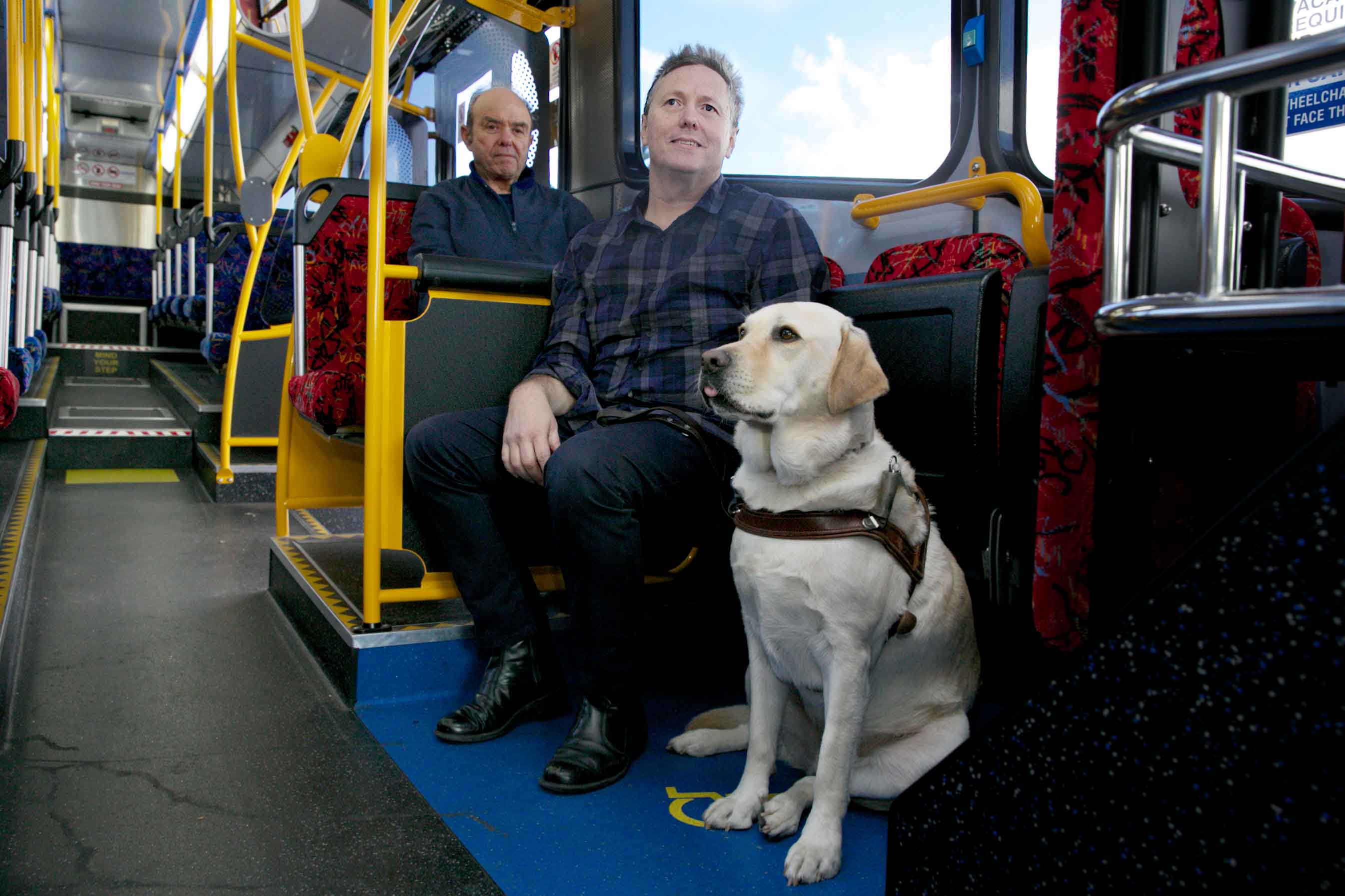 vision impaired man on bus with guide dog