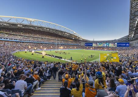 Bledisloe Cup 2026.