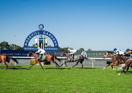 rosehill races banner