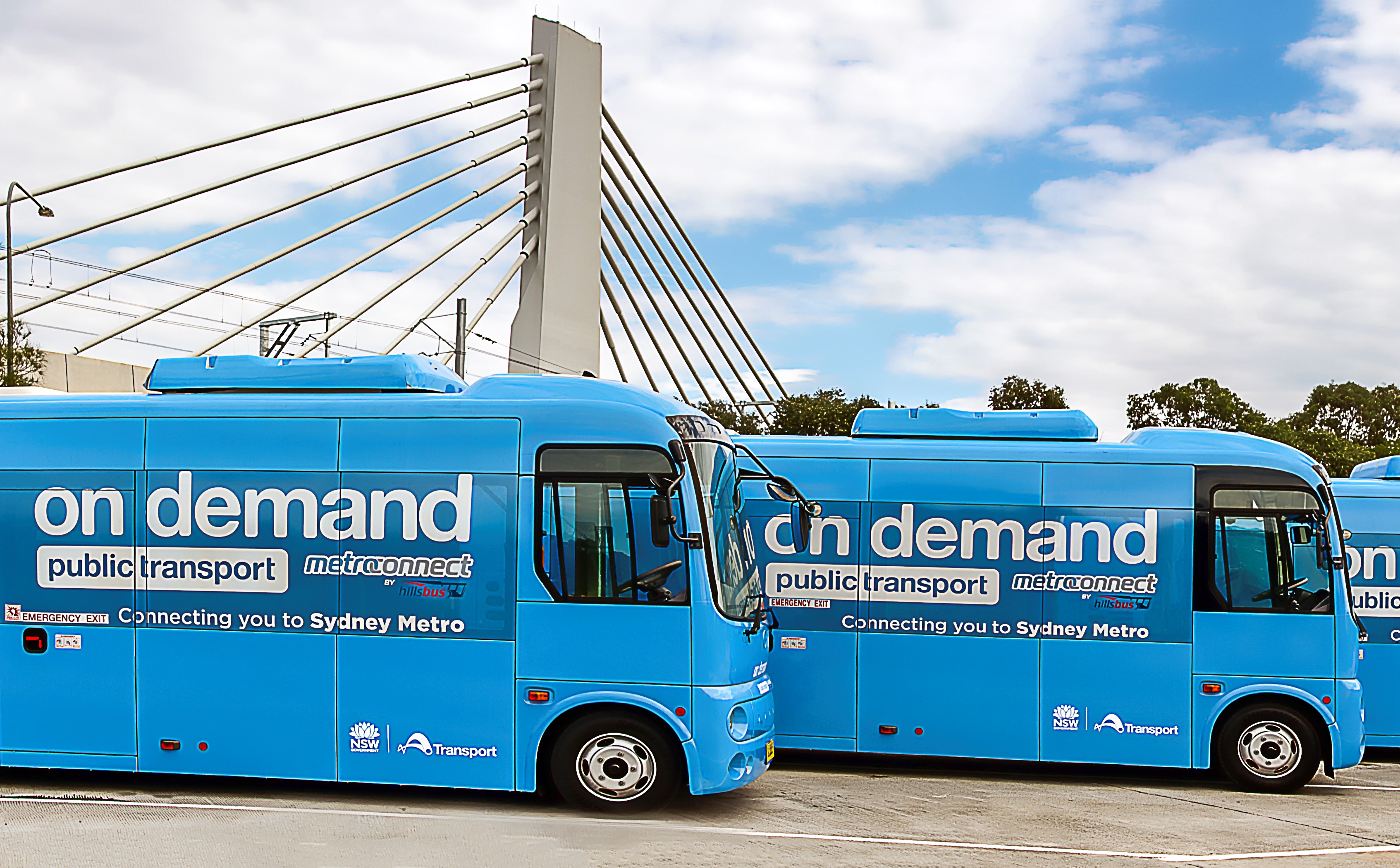 two blue on demand busses parked adjacent to each other