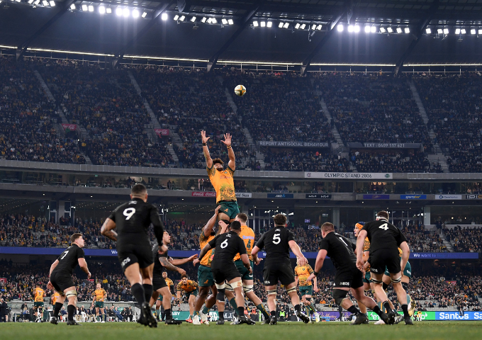 Bledisloe-Cup-2024-INDEX.png