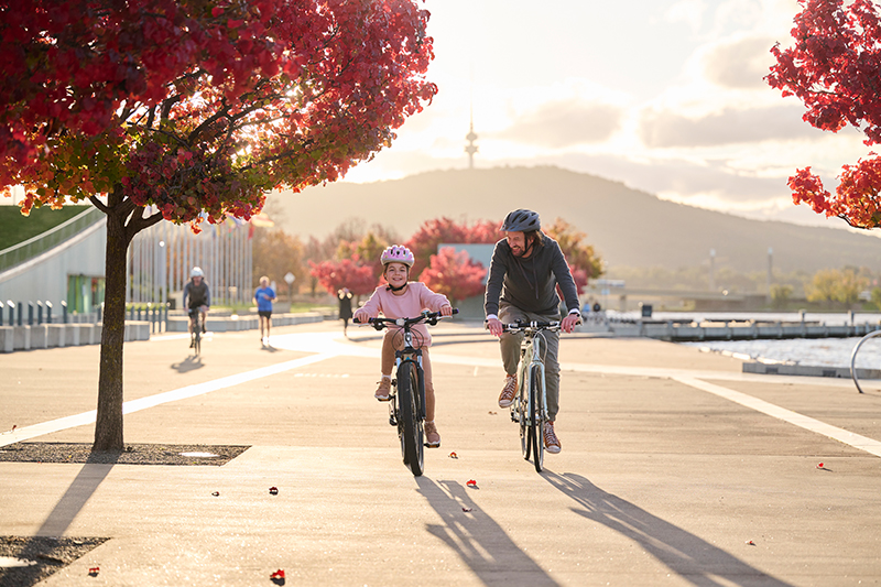 112160-56-(1)-canberra-tile.jpg