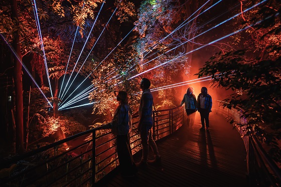 Illuminate Adelaide-560x373.jpg