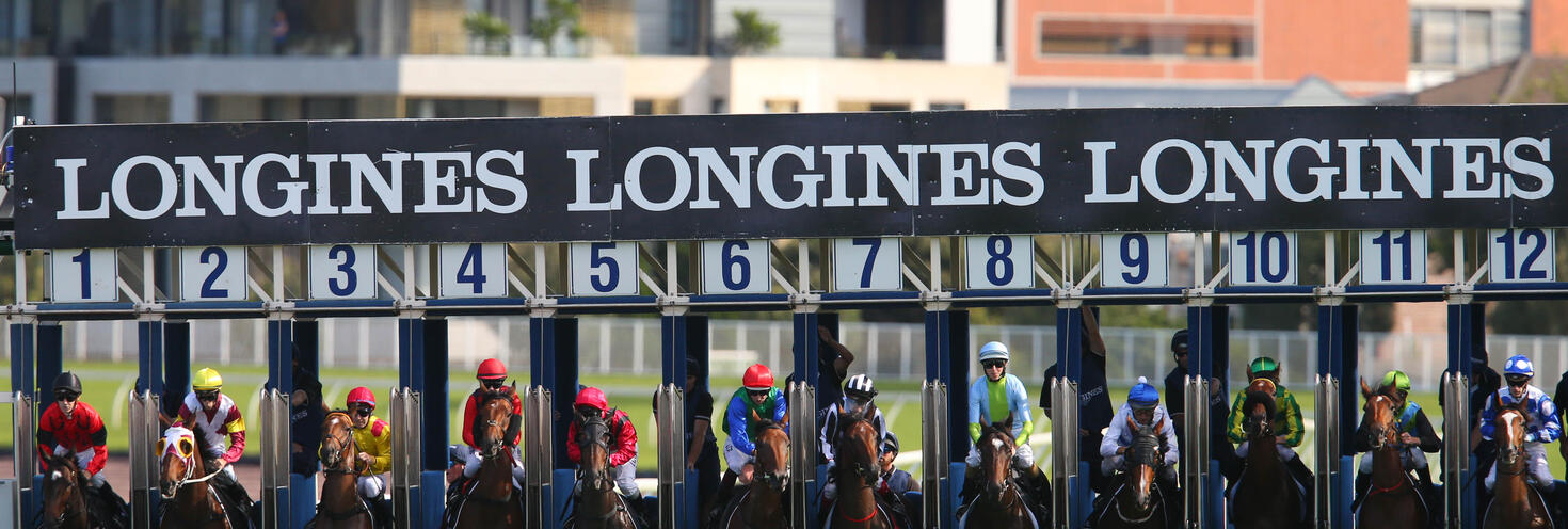 Randwick races horse gates
