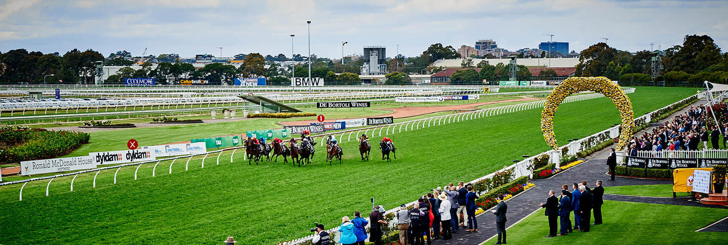 Rosehill Gardens hero