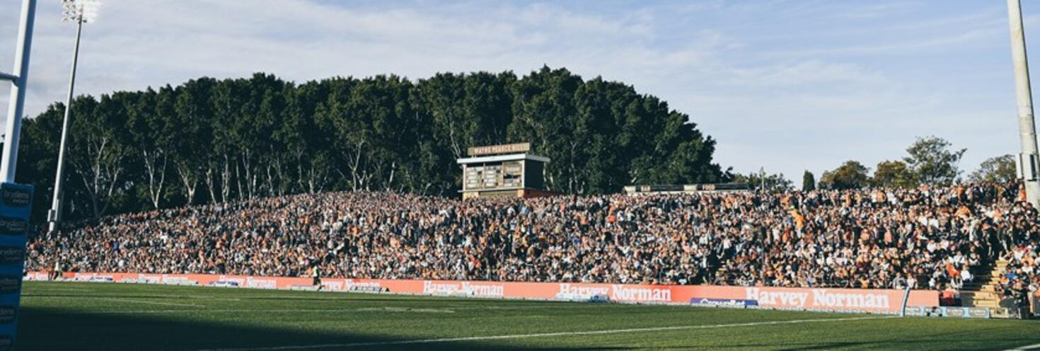 Tigers leichhardt oval