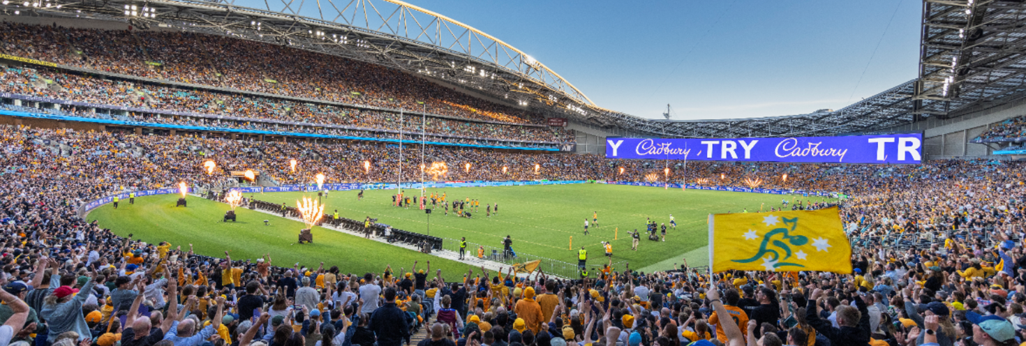 Wallabies accor stadium