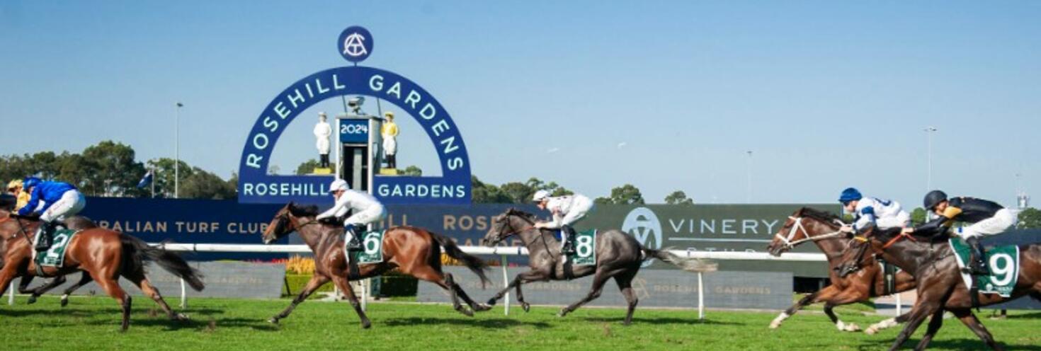 rosehill races banner