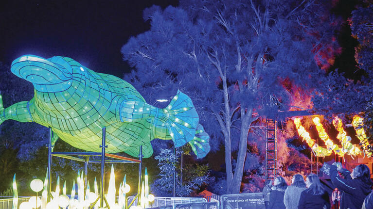 Vivid Taronga Zoo hero