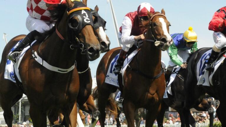 horses