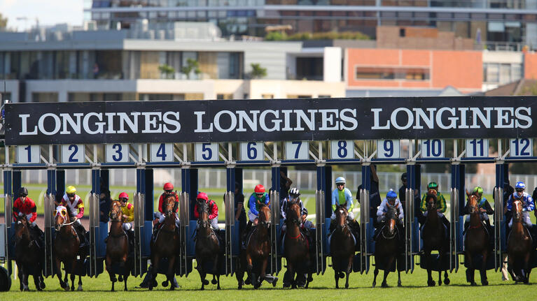 Randwick races horse gates