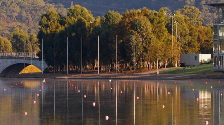 Rowing Regatta hero