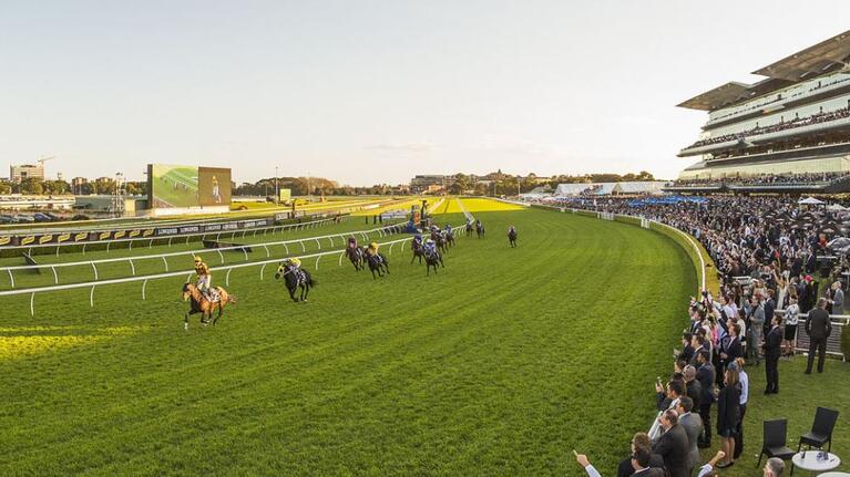 Randwick Racecourse hero