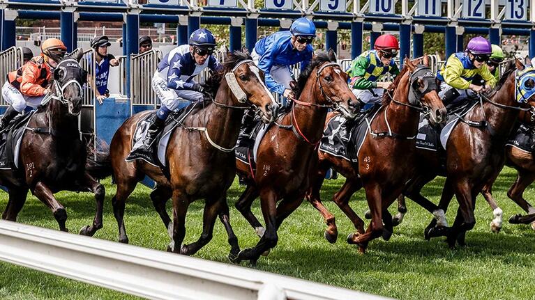 City Tattersalls day - hero