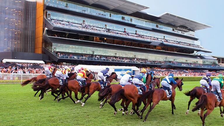 Cox Plate Day - hero