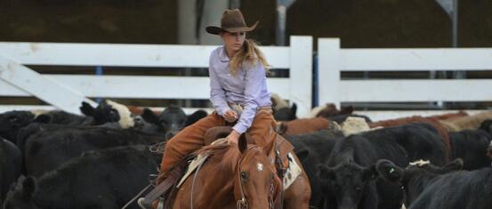 Horse and rider in bull pen