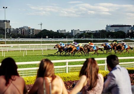 Randwick racecourse horses racing