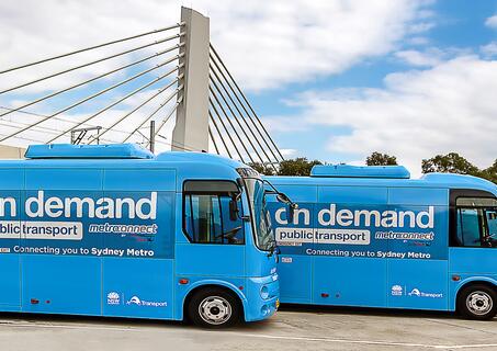 two blue on demand busses parked adjacent to each other