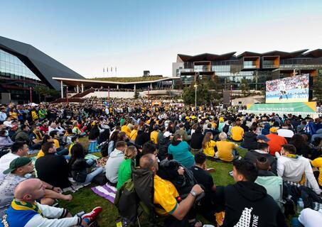 FIFA world cup live site