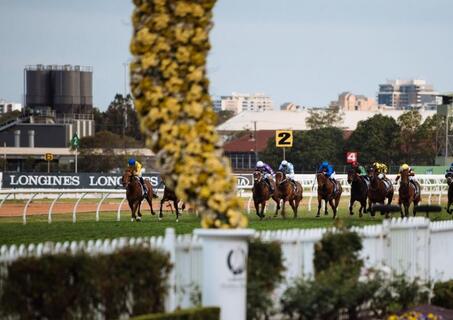 golden rose rosehill race day