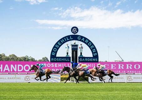 chandon ladies day races rosehill